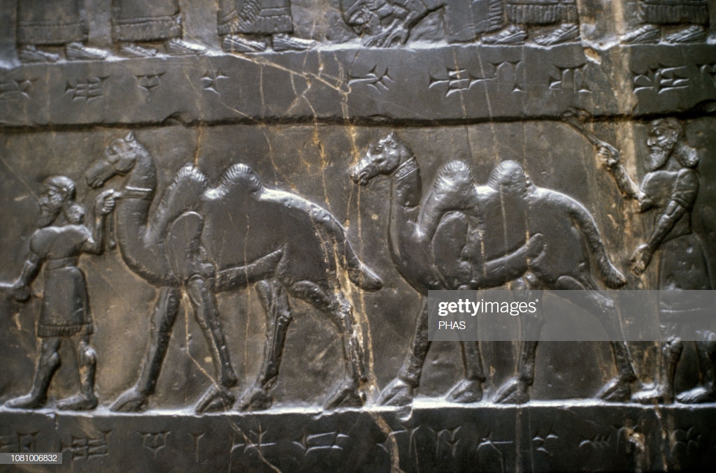 8 - camels in heavy use, idea was learned from the gods
